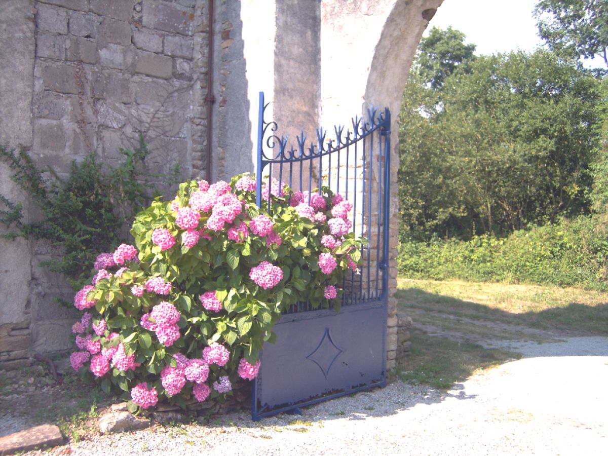 Holiday apartment La Cour de Kerlarec - Outdoor photo 2