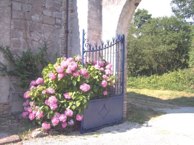 Holiday apartment La Cour de Kerlarec - Outdoor photo 2