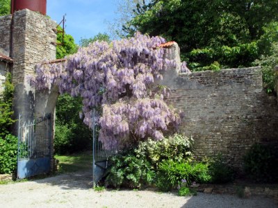 Holiday apartment La Cour de Kerlarec - Outdoor photo 8
