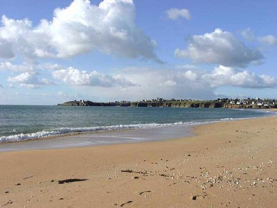 Holiday apartment La Cour de Kerlarec - Environment photo 12