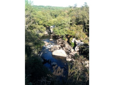 Holiday apartment La Cour de Kerlarec - Environment photo 15