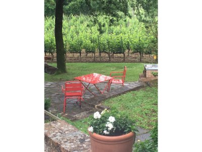 Holiday house Casa Piccola - Outdoor photo 6