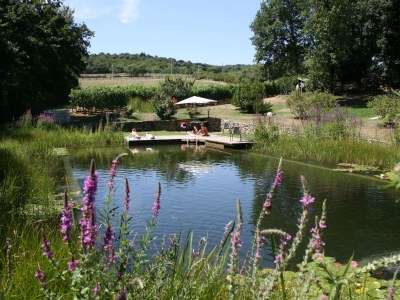 Holiday house Casa Piccola - Outdoor photo 8