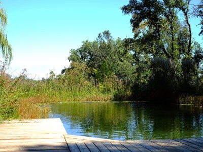 Holiday house Casa Piccola - Outdoor photo 9