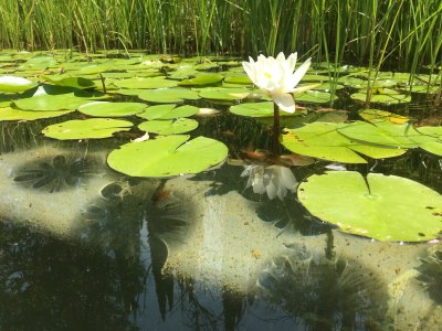 Holiday house Casa Piccola - Outdoor photo 11