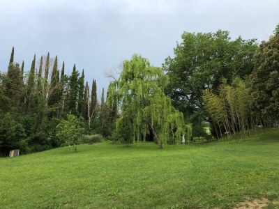 Holiday house Casa Piccola - Outdoor photo 13