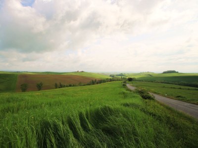 Holiday house Casa Piccola - Environment photo 22