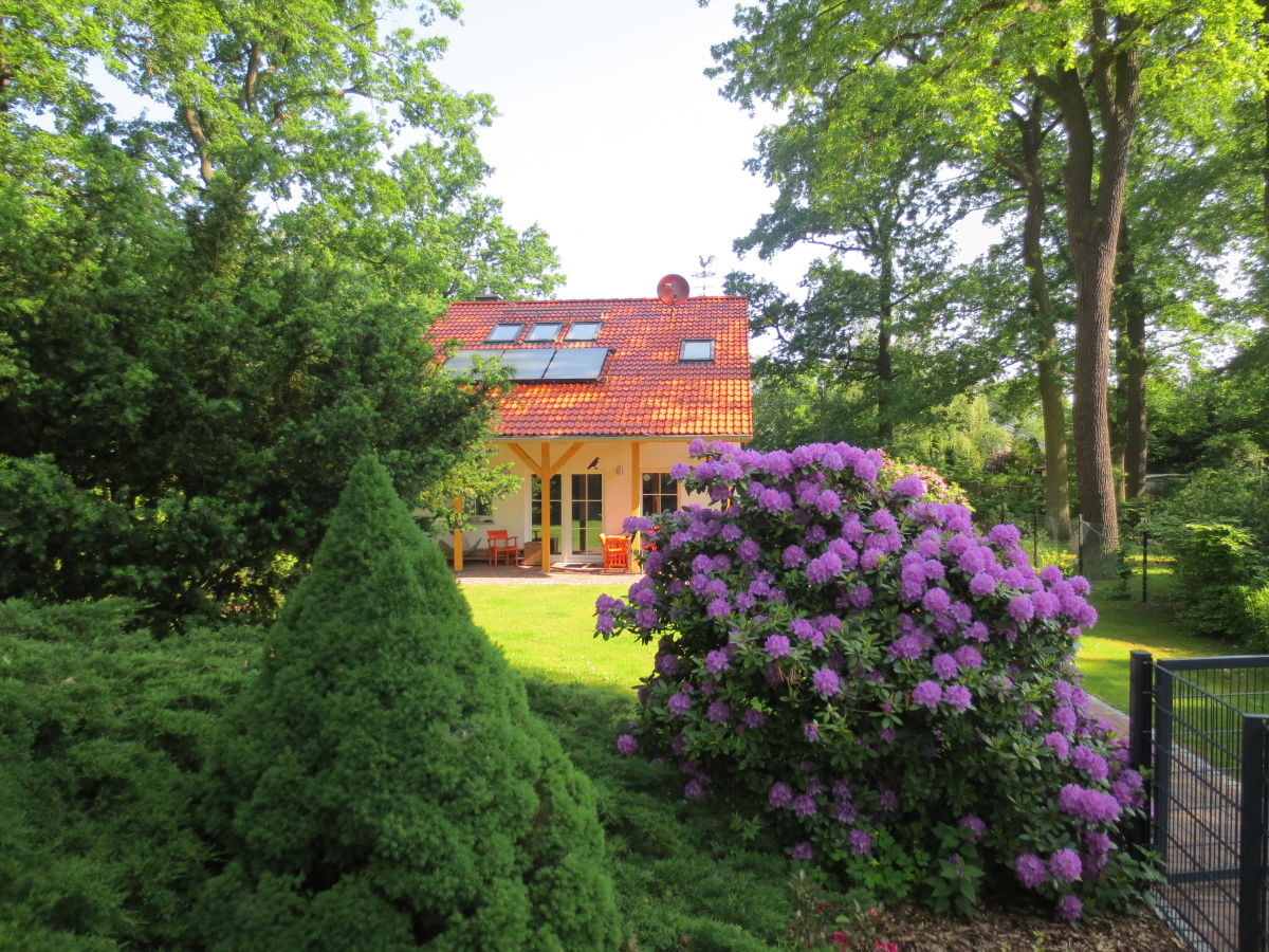 Holiday house Waldkauz - with the pulpit - Outdoor photo 3