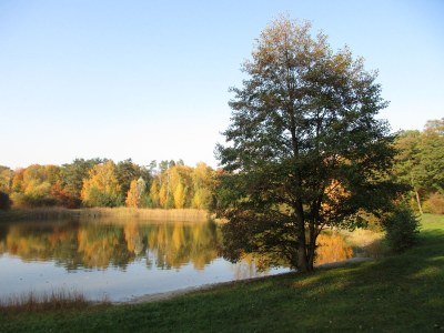 Holiday house Waldkauz - with the pulpit - Environment photo 20