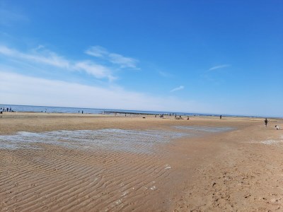 Holiday house Seestern 100 Julianadorp Park Strandslag - Environment photo 12