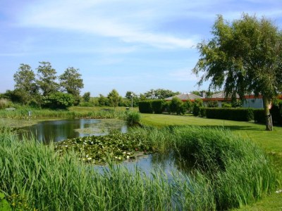 Holiday house Seestern 100 Julianadorp Park Strandslag - Environment photo 14