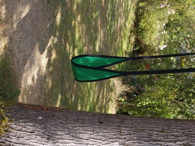 Holiday house Lorbeere. - Outdoor photo 7