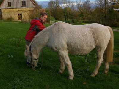 Holiday house Lorbeere. - Environment photo 20