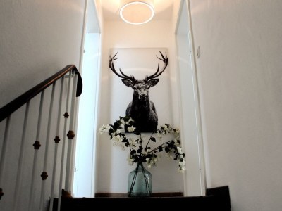 Holiday house am Stadtpark - Features photo 27