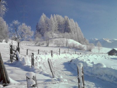 Holiday apartment Schernthaner near Zell am See, Kaprun - Environment photo 37