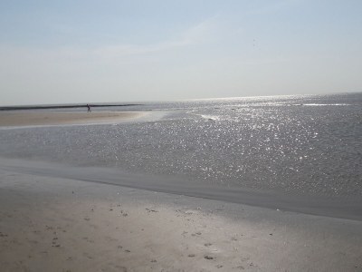 Holiday house Beach pearl 8 - with dune view, Juianadorp - Environment photo 25