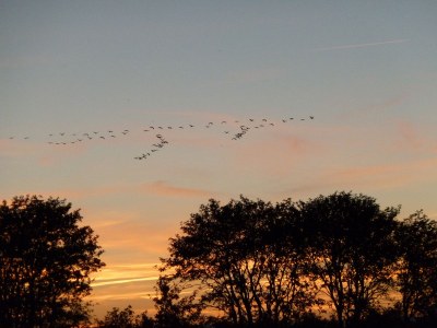 Holiday apartment Grüne Straße 38 A - Environment photo 23
