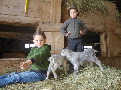 Holiday apartment Apart BÃ¤r - Outdoor photo 6