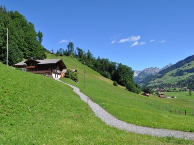 Holiday house Haus Trogmatten in Lenk - Simmental - Holiday house