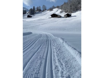 Holiday house Haus Trogmatten - Outdoor photo 5