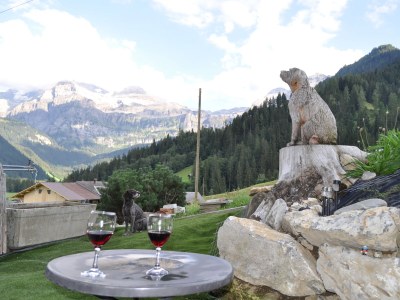 Holiday house Haus Trogmatten - Environment photo 26