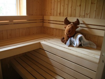 Holiday house Norgehytte - Features photo 21