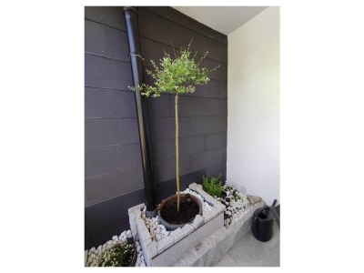 Holiday apartment Wernigerode Schaper/Loh - Outdoor photo 17