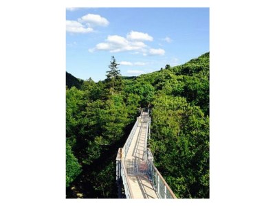 Holiday apartment Wernigerode Schaper/Loh - Environment photo 27