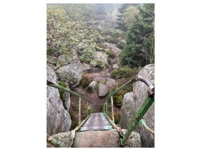 Holiday apartment Wernigerode Schaper/Loh - Environment photo 31