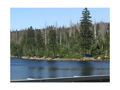 Holiday apartment Wernigerode Schaper/Loh - Environment photo 34