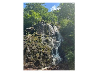 Holiday apartment Wernigerode Schaper/Loh - Environment photo 37