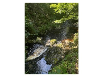 Holiday apartment Wernigerode Schaper/Loh - Environment photo 38