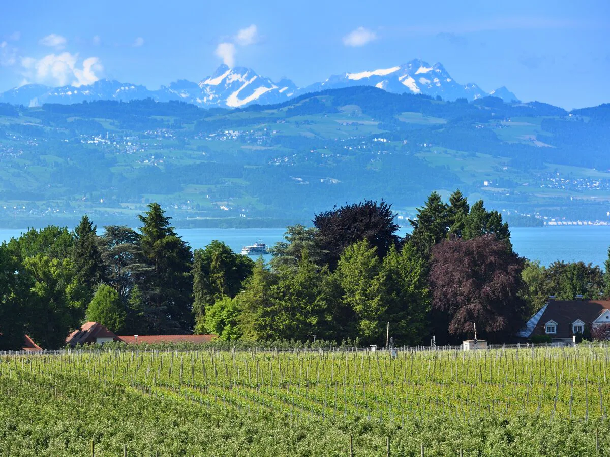 Holiday apartment apartment A -Holiday- in Holiday Home TraumBlick - Outdoor photo 4