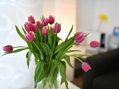 Holiday apartment apartment A -Holiday- in Holiday Home TraumBlick - Features photo 13