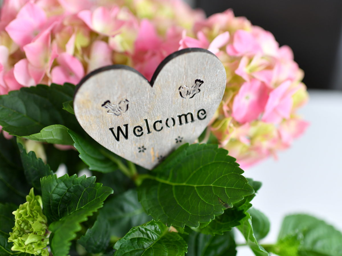 Holiday apartment C in the holiday home TraumBlick - Outdoor photo 2