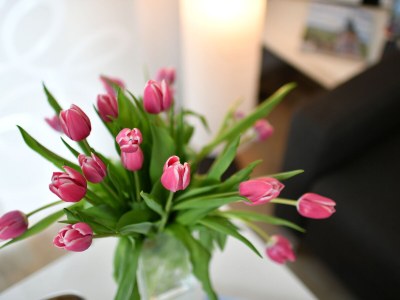 Holiday apartment C in the holiday home TraumBlick - Features photo 14