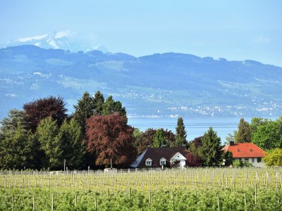 Holiday apartment D in Ferienhaus TraumBlick - Outdoor photo 5