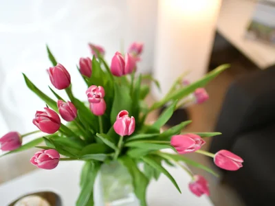 Holiday apartment D in Ferienhaus TraumBlick - Features photo 13