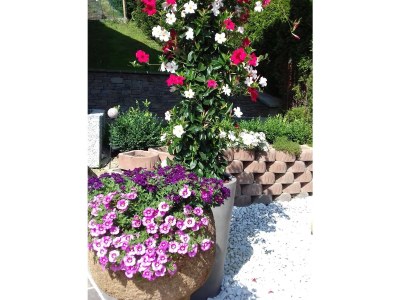 Holiday apartment Ferienwohnung Zuppinger - Environment photo 27