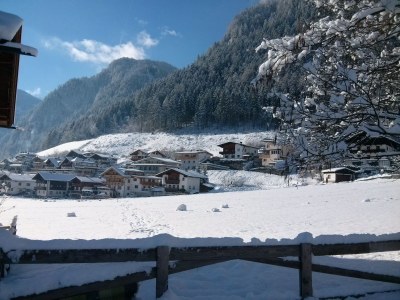 Holiday apartment Ferienwohnung Zuppinger - Environment photo 31