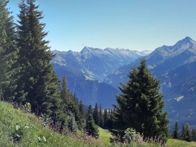 Holiday apartment Ferienwohnung Zuppinger - Environment photo 37