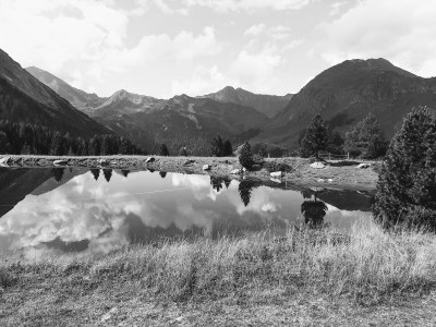 Holiday apartment Ferienwohnung Zuppinger - Environment photo 38