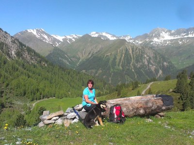 Holiday apartment Ferienwohnung Zuppinger - Environment photo 39