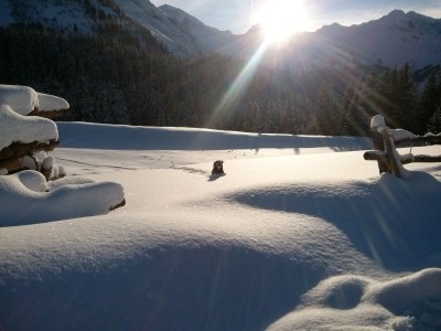 Holiday apartment Ferienwohnung Zuppinger - Environment photo 40