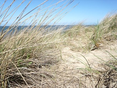 Holiday house Strandslag 112 - Environment photo 14