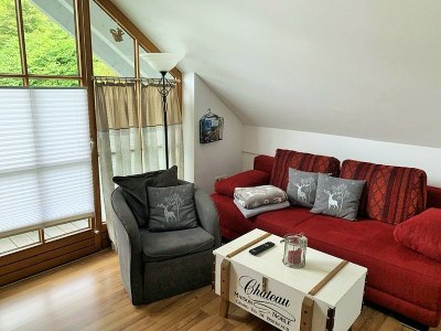 Holiday apartment 46 in the Ferienland Sonnenwald - Features photo 12