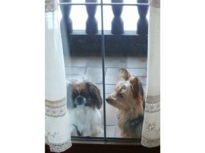 Holiday apartment 46 in the Ferienland Sonnenwald - Features photo 19