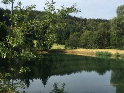 Holiday apartment 46 in the Ferienland Sonnenwald - Environment photo 23