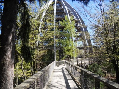 Holiday apartment 46 in the Ferienland Sonnenwald - Environment photo 25