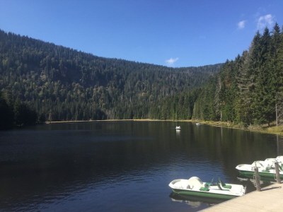 Holiday apartment 46 in the Ferienland Sonnenwald - Environment photo 28